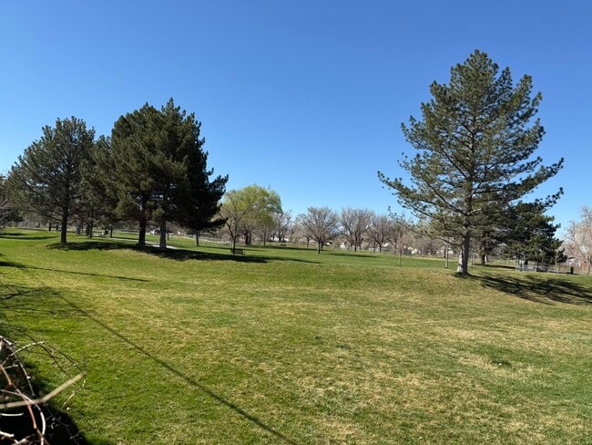 Building Photo - 451 N Montgomery St