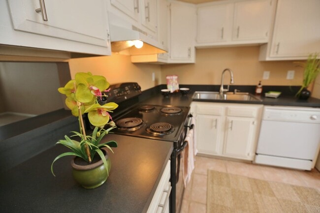 Building Photo - Amazing 2 Bedroom Townhome in Washington Square! Available 03-06-26! All Appliances Convey!