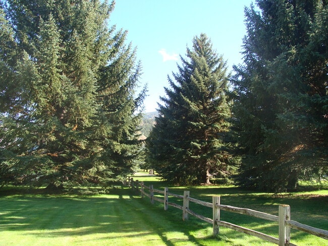 Building Photo - 414 W Beaver Creek Blvd