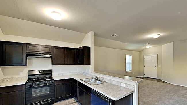 Building Photo - 4332 Siena Rdg Blvd