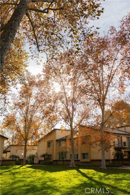 Building Photo - 1219 Edwards St