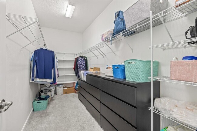Building Photo - 3212 Calvano Dr