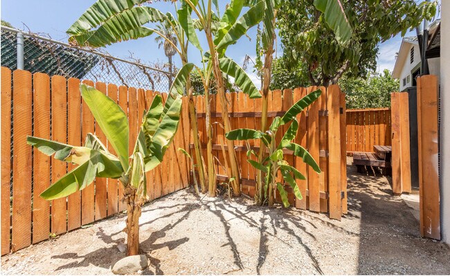 Private Patio - 1005 Calzona St