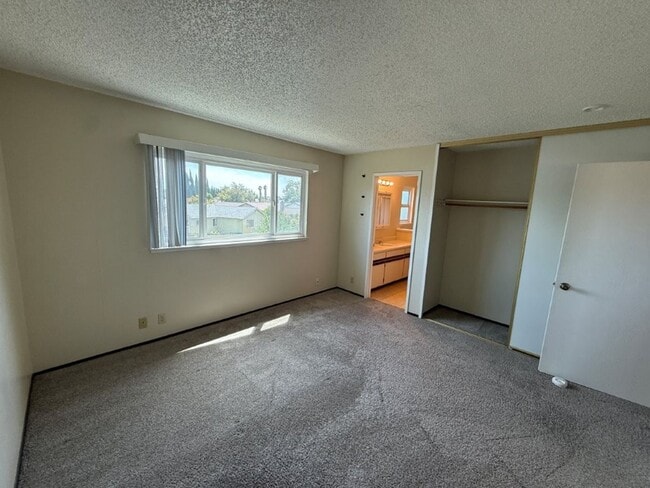 Building Photo - 1003 Blackspur Ct