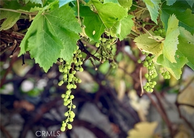 Building Photo - 32 Melrose Dr