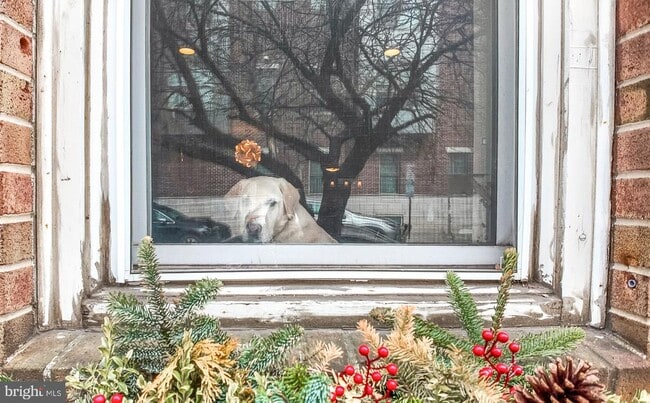 Building Photo - 434 Catharine St