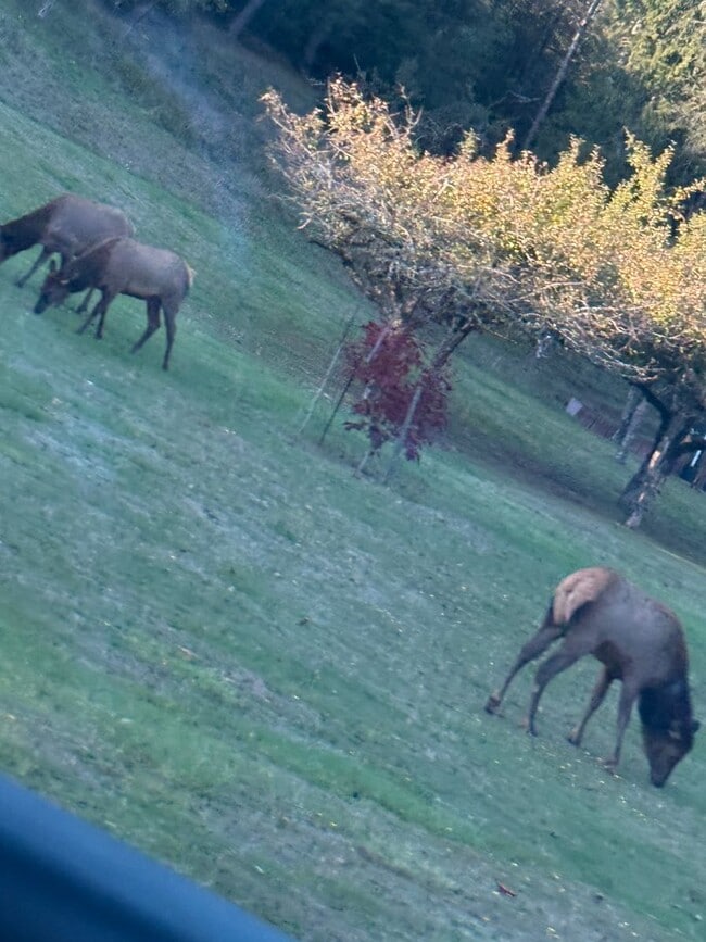 Building Photo - 15144 Sitkum Ln