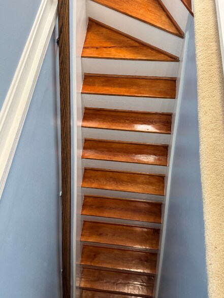 Building Photo - 2810 Rosemary Ln