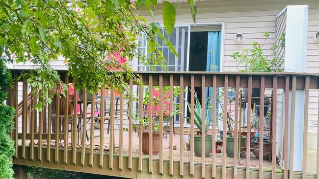 Building Photo - 902 Gray Fox Ln