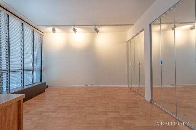 Building Photo - 900 N Lake Shore Dr