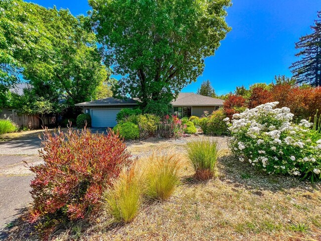 Primary Photo - Charming Four Bedroom Home in Napa's Sough...