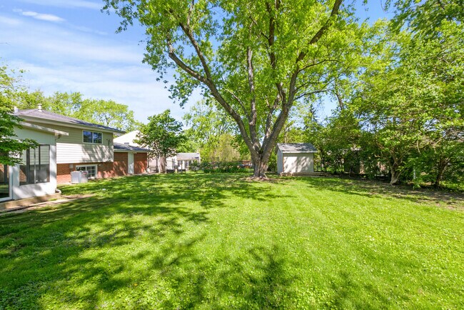 Building Photo - 433 Hackberry Rd