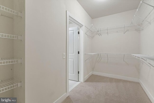 Building Photo - 9521 Bastille St