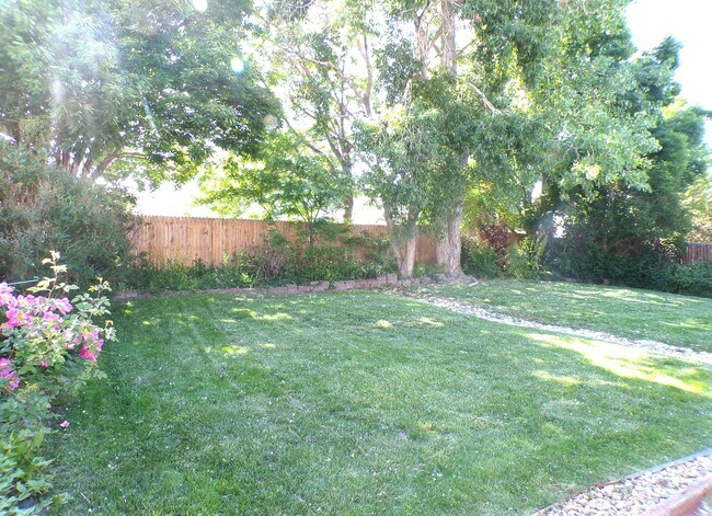 Building Photo - Cozy Hidden Gem in the Heart of Lakewood! ...