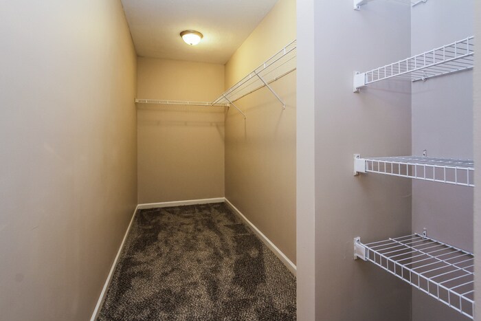 Building Photo - 8133 Whistlewood Dr