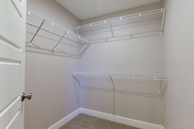 Building Photo - 343 Holts Lake Dr