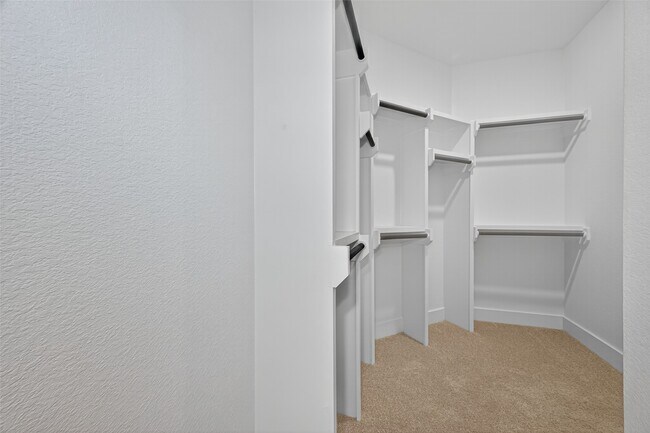 Building Photo - 24110 Blooming Daisy Cir