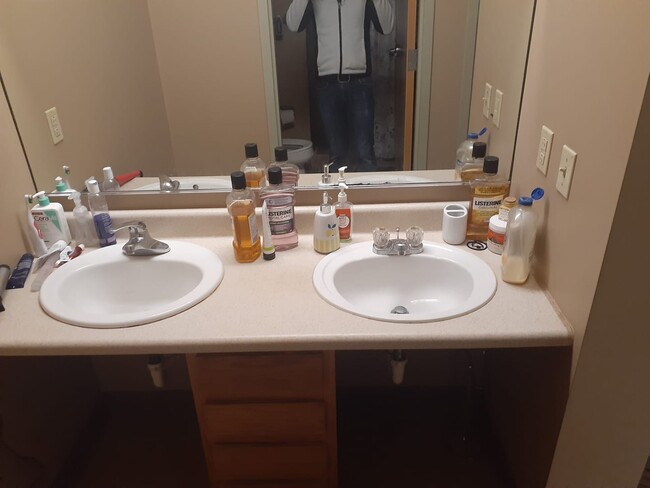 Building Photo - 341 4th Ave