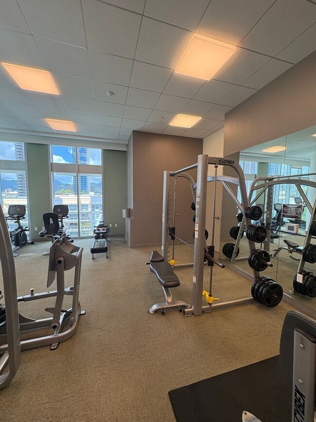 Building Photo - Luxury Fully Furnished Condo at The Collection – Live in the Heart of Kakaako!