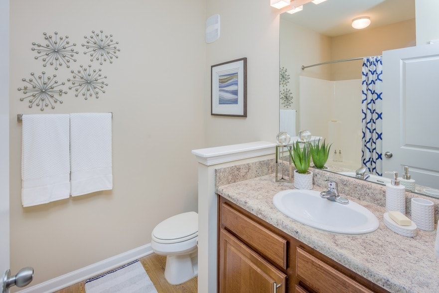 Arbor Village 10825 Dorchester Rd Summerville SC 29485 Apartment Finder