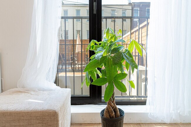 Building Photo - 251 Covert St.