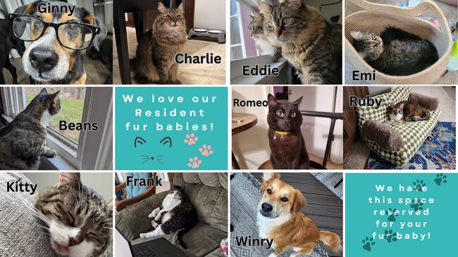 Building Photo - Congratulations! You just unwrapped two months free rent!