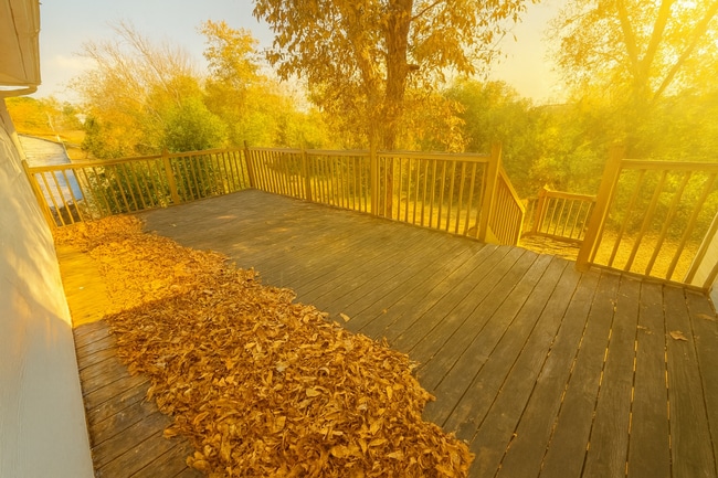 Building Photo - 1278 Jackson St