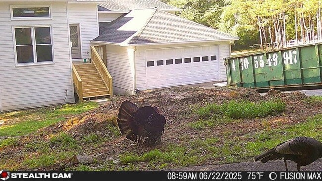 Building Photo - 241 Nacoochee Dr