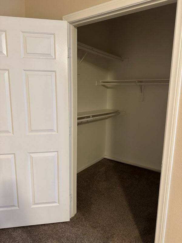 Building Photo - 833 Aspen Peak Loop