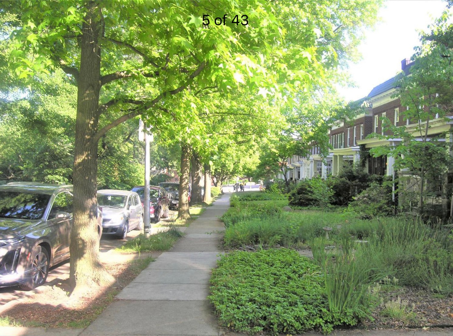 Tree-lined Wyman Parkway - 2926 Wyman Pky