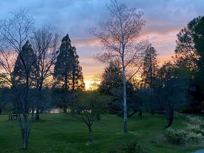 Sunset as seen from the barn looking to lower field - 3333 Hamblen Ct