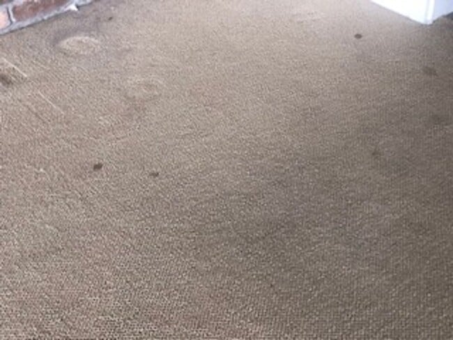 Building Photo - East Village 13th floor condo with panoramic views