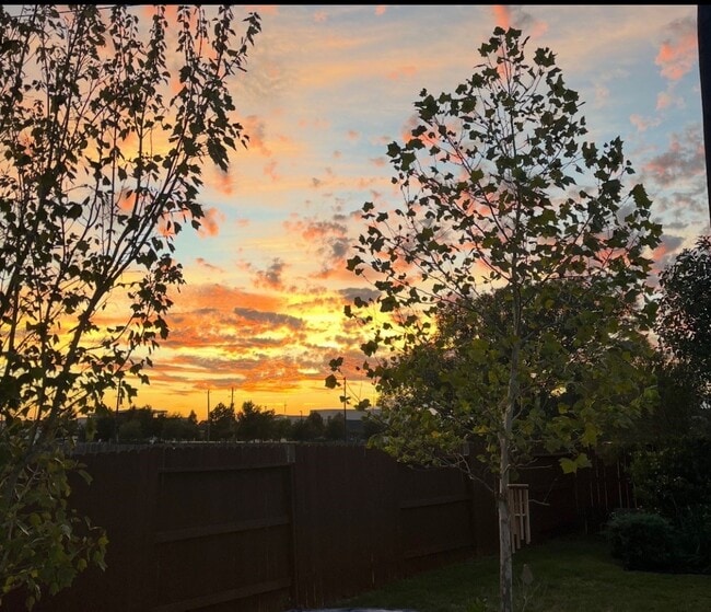 Building Photo - 3437 Harvest Valley Ln