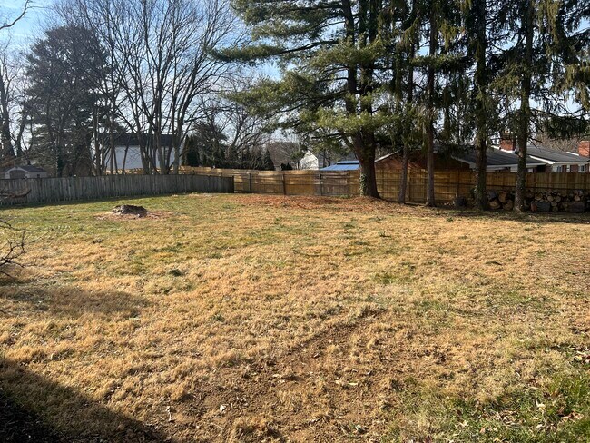 Backyard 2 - 10804 Coffman Ave