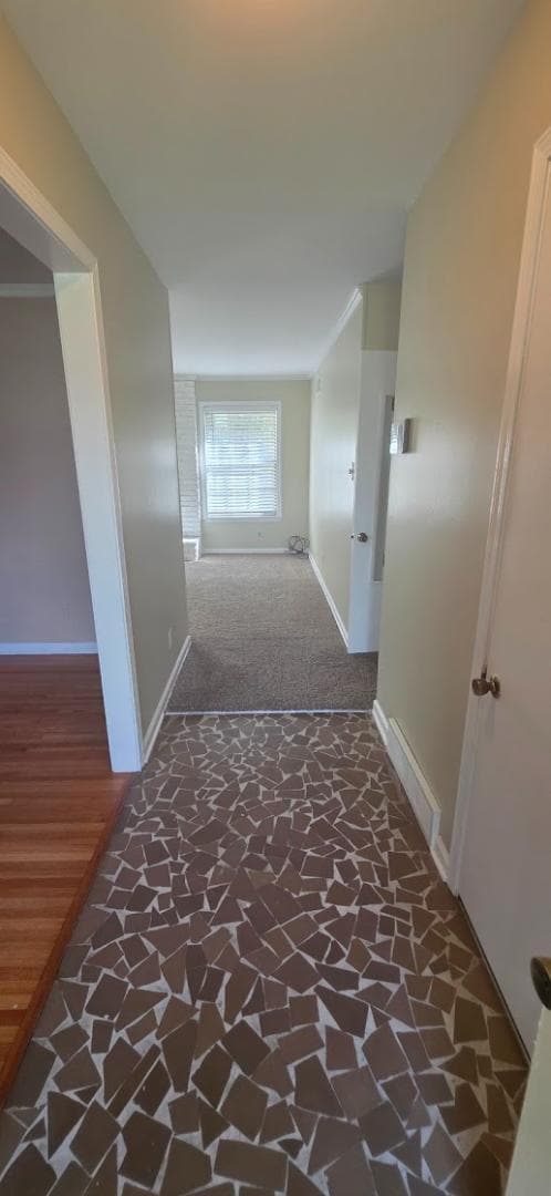 Building Photo - 523 Shofner Ave