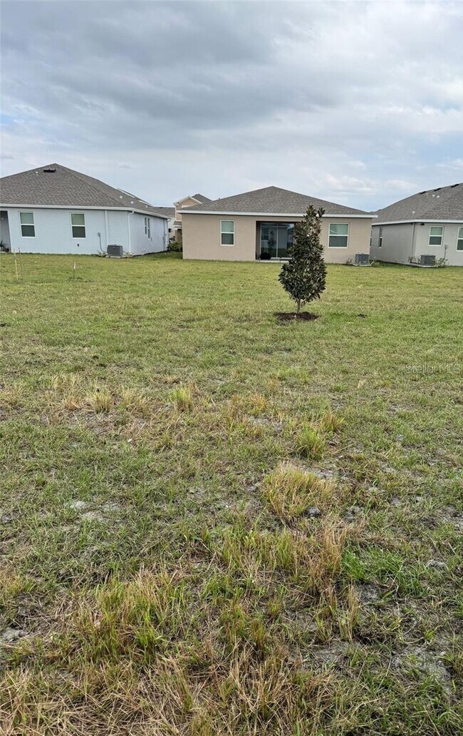 Building Photo - 1877 Blissful Dr