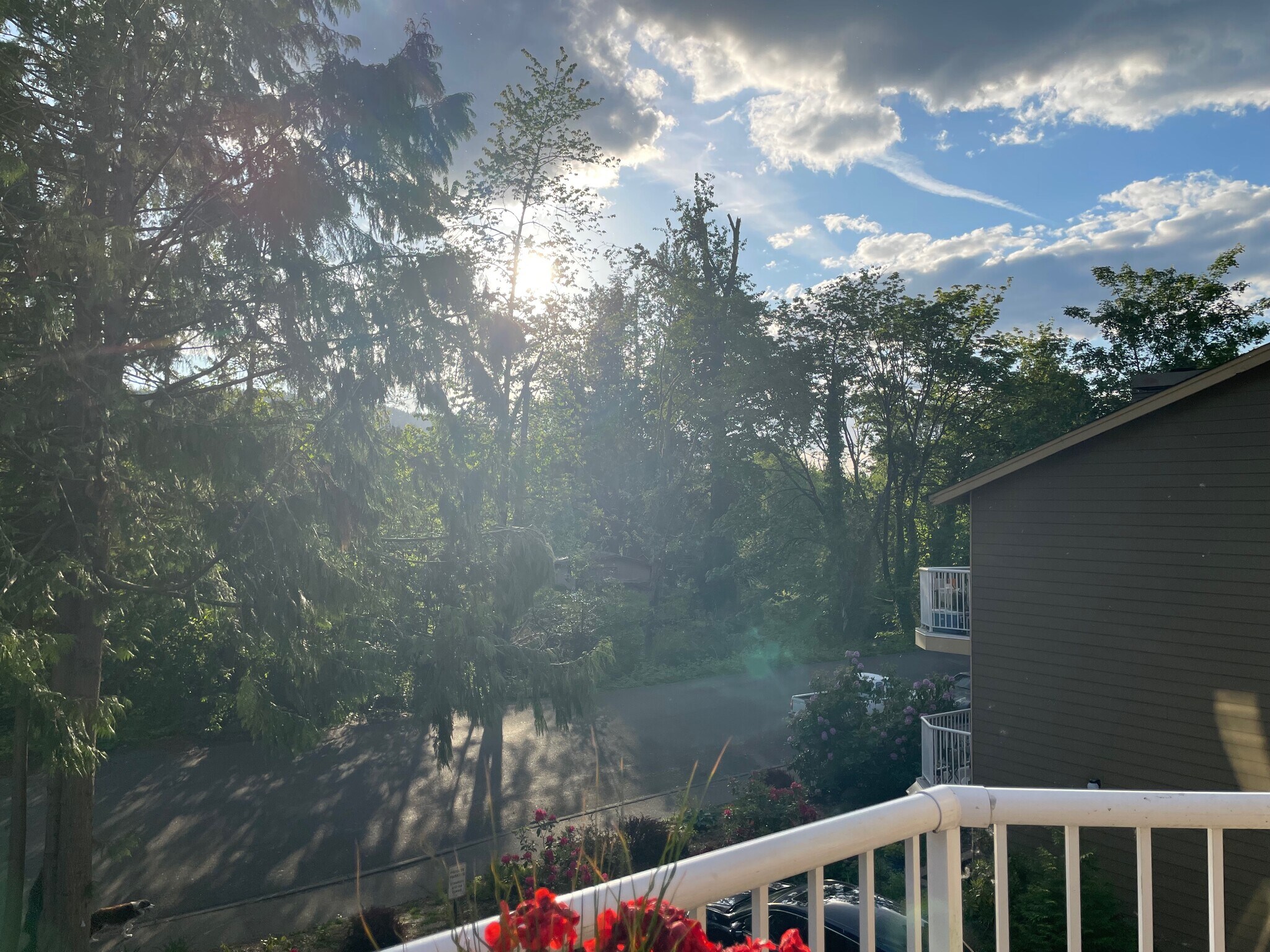 ever changing skies - 280 NW Holly St