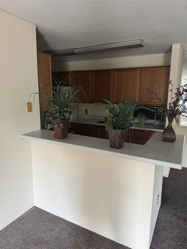 Building Photo - 10821 Braes Bend Dr