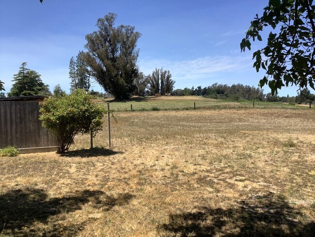 Building Photo - Sebastopol country property