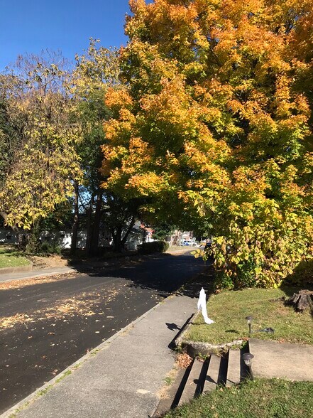 View from porch - 711 Hamilton St