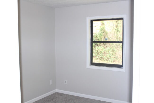 Building Photo - 1386 Williamsburg Ln