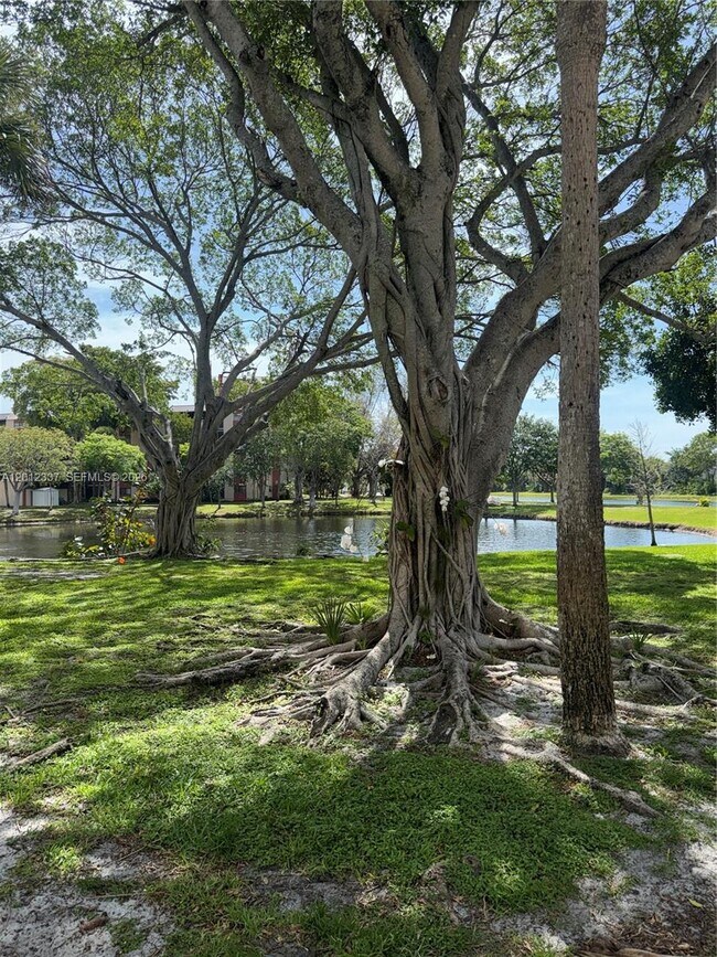 Building Photo - 2312 S Cypress Bend Dr