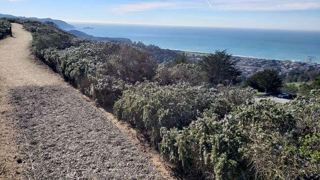 Building Photo - Love the Ocean? 2/2 Condo. STUNNING OCEAN VIEW! Private Patio + 2 Private Garages