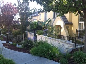Building Photo - 3156 Ledoux Ct
