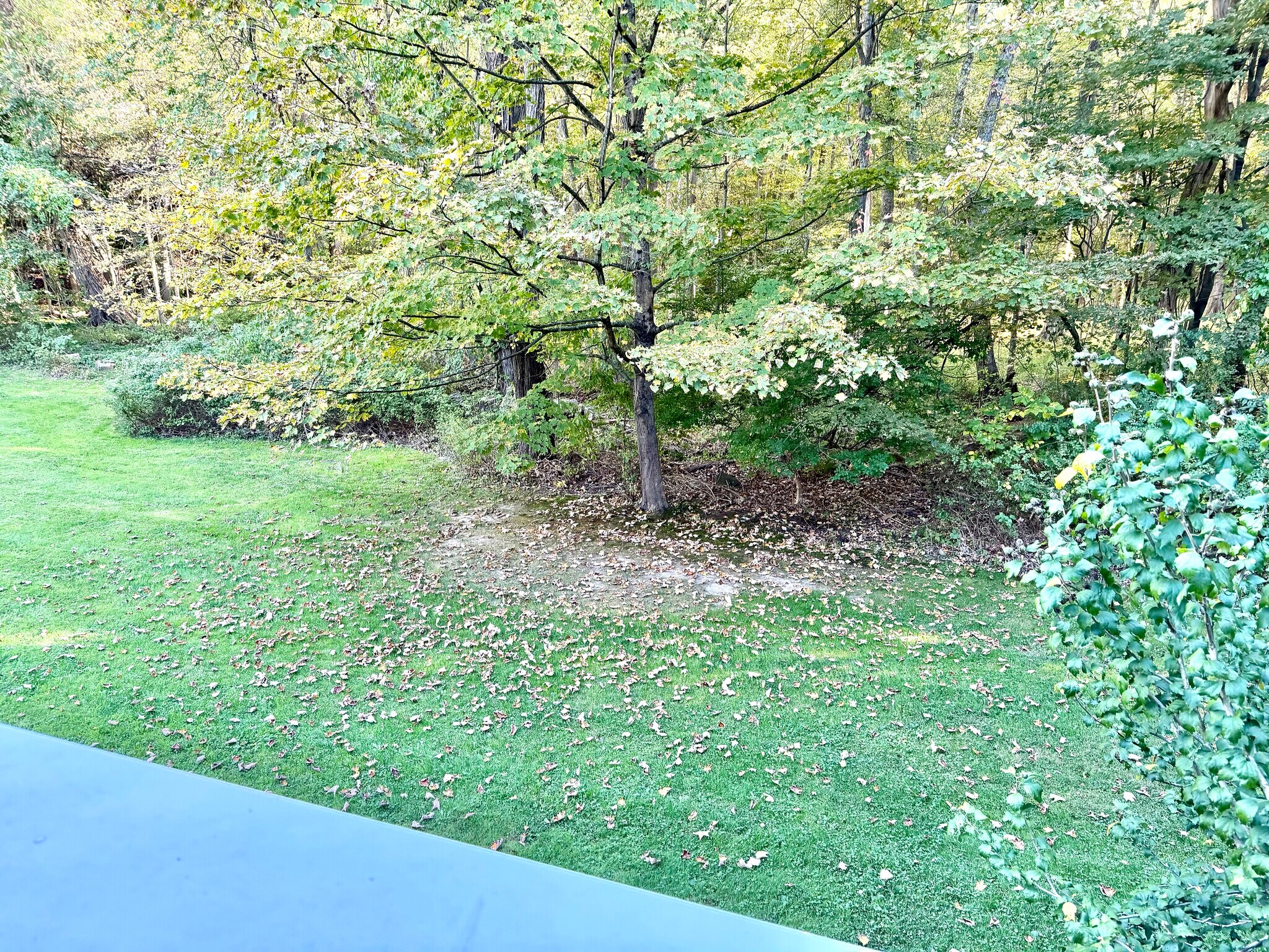 Building Photo - 11 Wild Oaks Rd