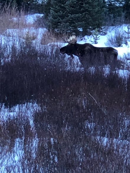 Building Photo - 5344 Montezuma Rd