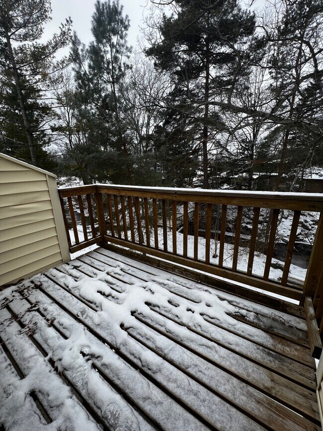 Building Photo - 4253 Mitchell Creek Dr