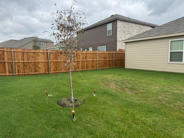 Backyard - 16113 Isles Dr