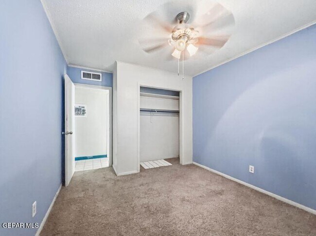 Building Photo - 921 Olive Ave