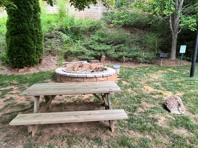 Community Firepit, Picnic Table, Grill to enjoy the mountain temps with friends or family - 2000 Olde Eastwood Village Blvd